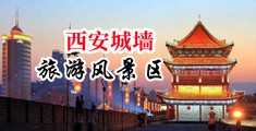 美国狠狠操夜夜操中国陕西-西安城墙旅游风景区